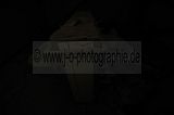099---ERDGESCHOSS---Biermann-Villa Gera